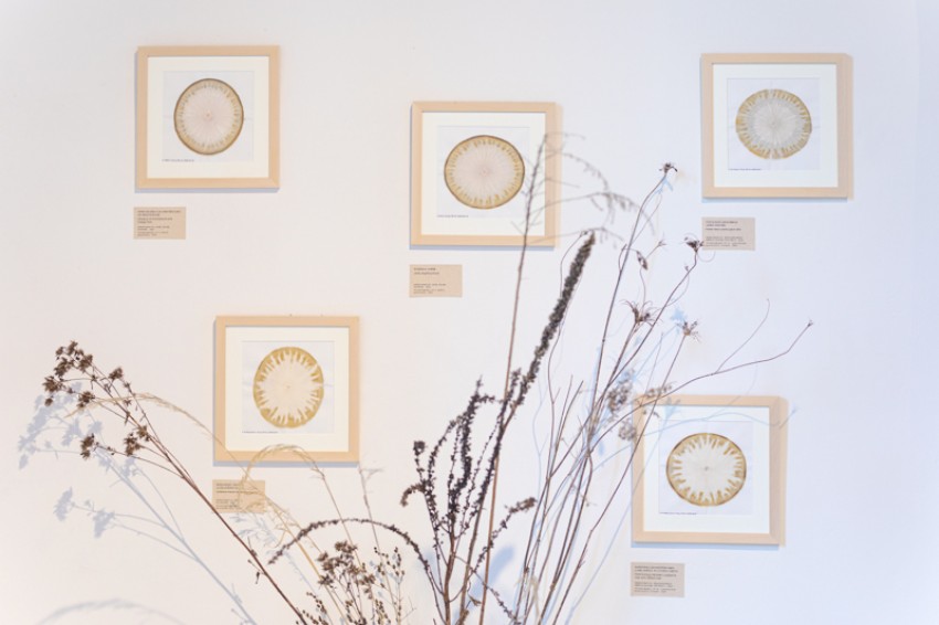 obrt vseživosti-photo